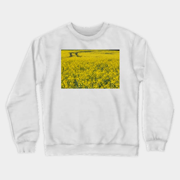 agricultural field full of bright yellow flowering crop of oil seed Crewneck Sweatshirt by mister-john